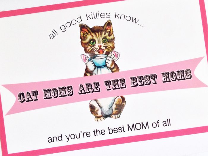 Cat Moms Are the BEST Moms Greeting Card