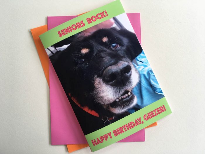 Seniors Rock! Birthday Card