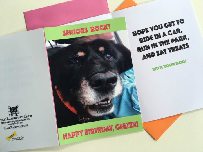 Seniors Rock! Birthday Card