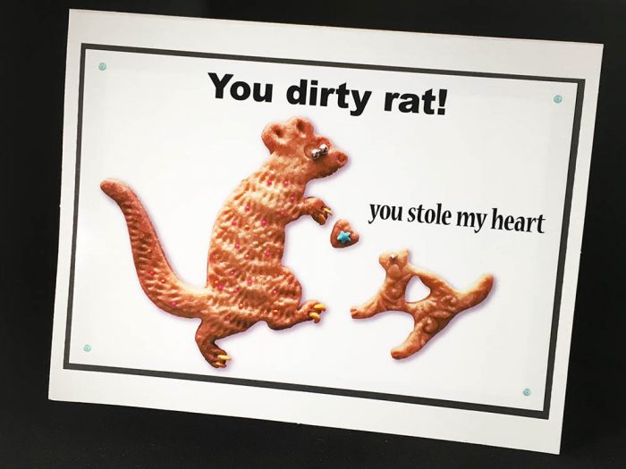 You Dirty Rat Greeting Card