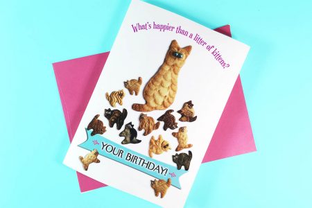 Happier Than Kittens Birthday Card front