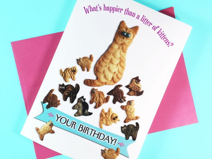 Happier Than Kittens Birthday Card front
