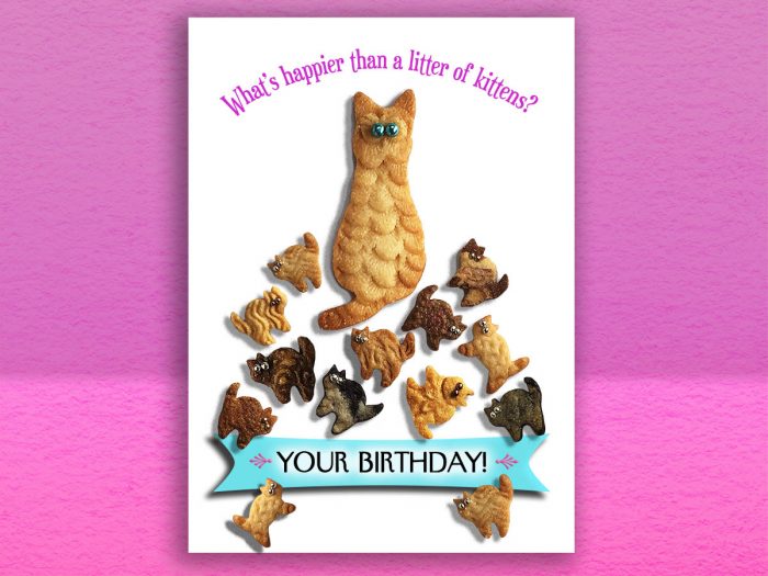 Happier Than Kittens Birthday Card front