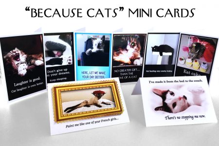 Because Cats MiniCards