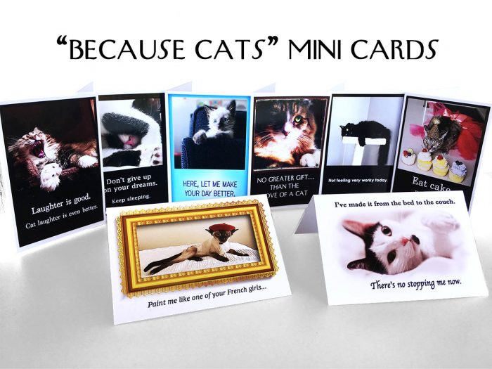 Because Cats MiniCards