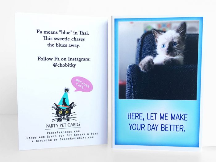 Because Cats MiniCards