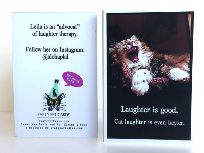 Because Cats MiniCards