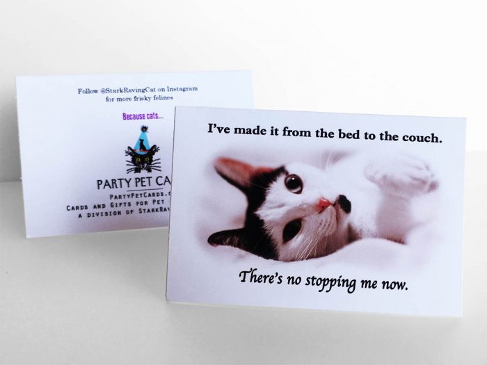 Because Cats MiniCards