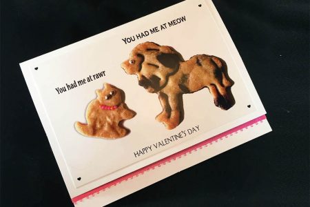 You Had Me at RAWR! Greeting Card