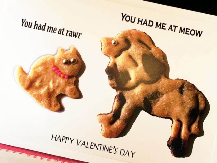 You Had Me at RAWR! Greeting Card