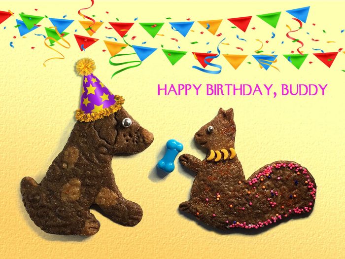 Happy Birthday, Buddy - Dog and Squirrel Greeting Card