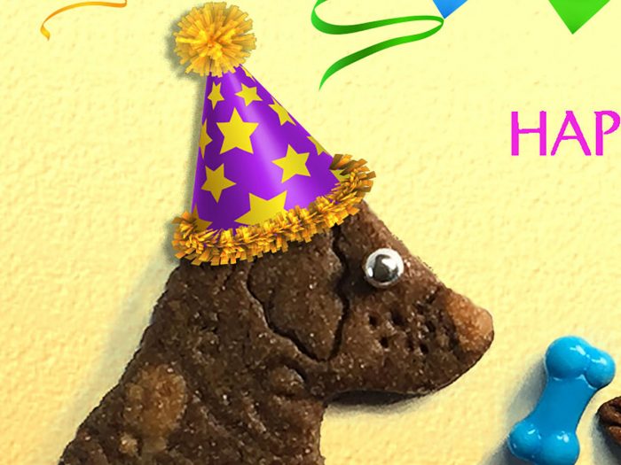 Happy Birthday, Buddy - Dog and Squirrel Greeting Card