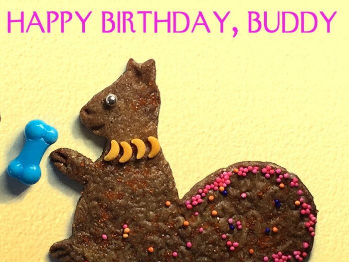 Happy Birthday, Buddy - Dog and Squirrel Greeting Card